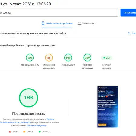 Скриншот отчёта Google PageSpeed Insights: сайт rezo.by получил 100 баллов за производительность, SEO и рекомендации после оптимизации на LSCache